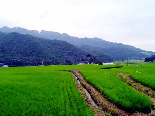 백아산 근처는 아직도 그 모양입니다. 나는 그게 더 좋습니다. 언젠가 빛을 볼 때가 있을 것입니다. 언제 한 번 같이 가실까요? 